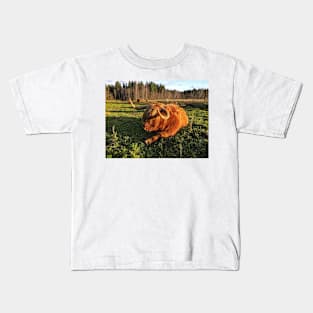 Scottish Highland Cattle Cow 2148 Kids T-Shirt